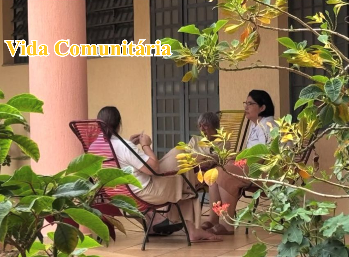 Vida Comunitária (6).png
